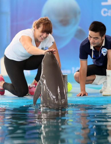 素质上有显 素质上有显