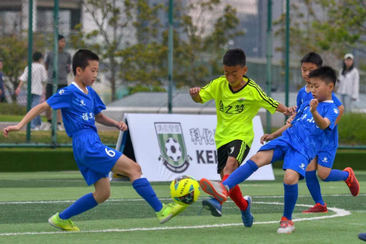 体育设施的 体育设施的