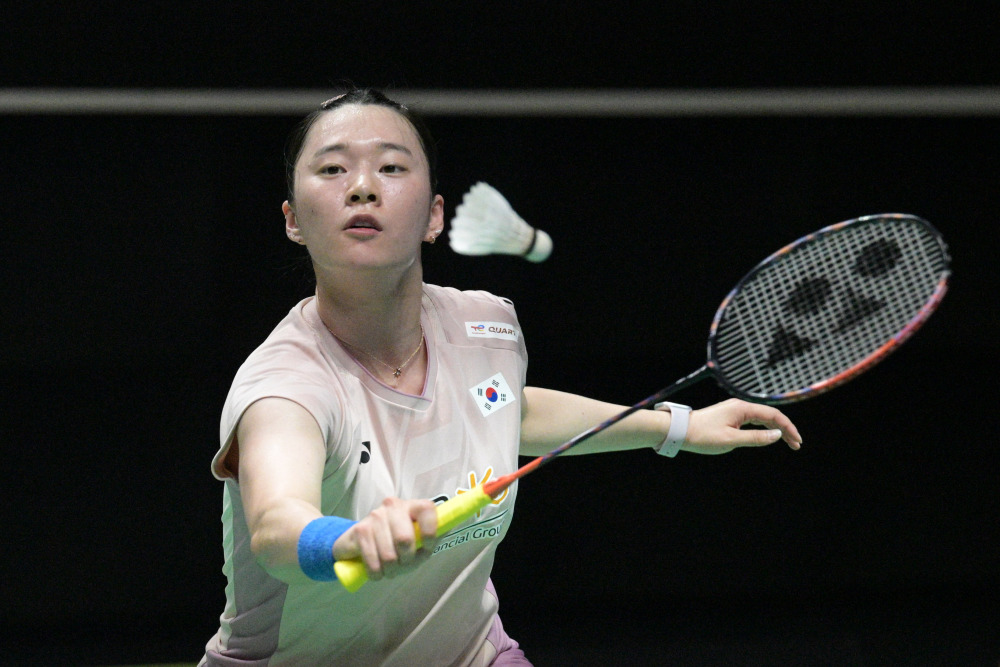 队在本赛季 队在本赛季