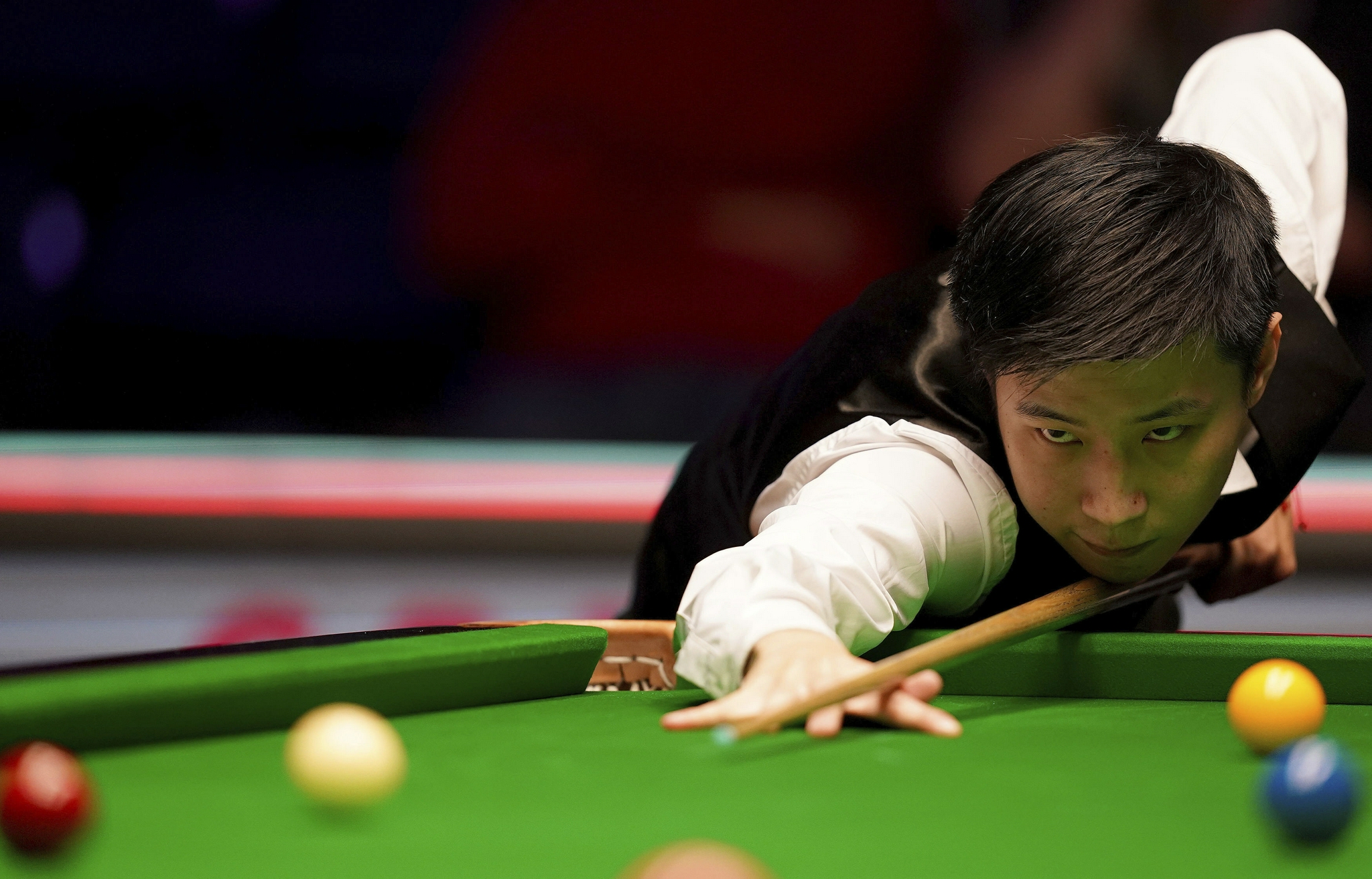 仅为他们的 仅为他们的