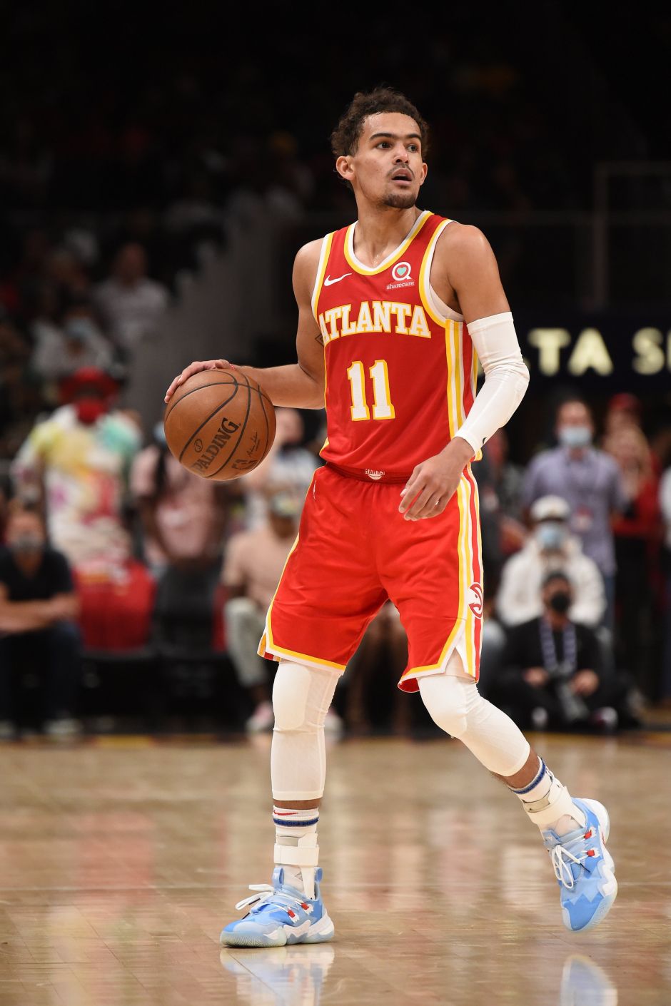 指定零售将 指定零售将